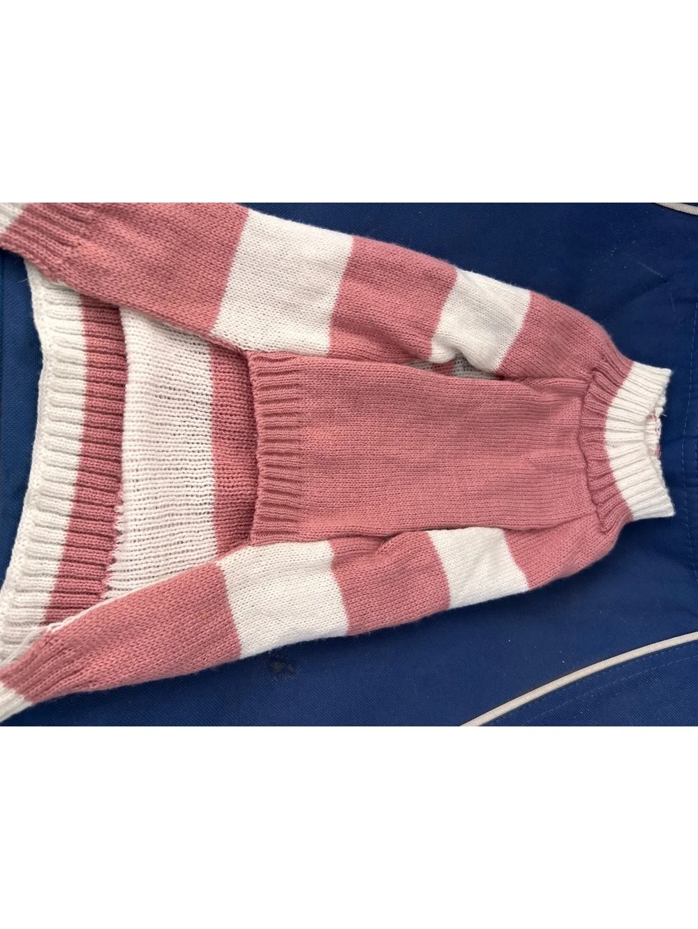 Vibrant Life Dog Striped Pullover Sweater with 'Spoiled' Text